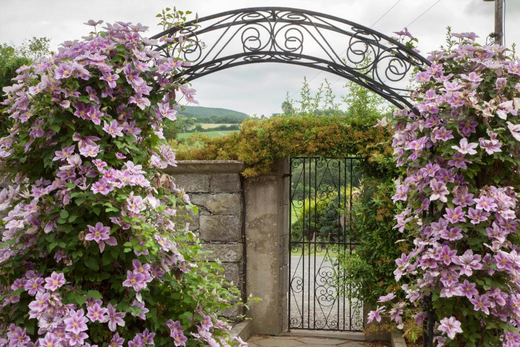Glasha Farmhouse Pensjonat Ballymacarbry Zewnętrze zdjęcie